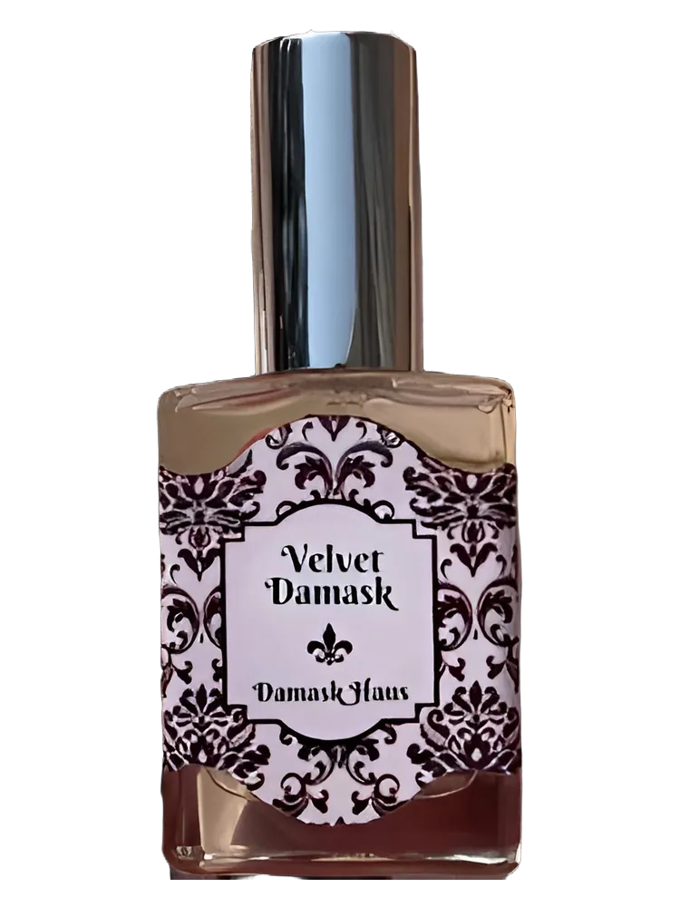 Velvet Damask by Damask Haus