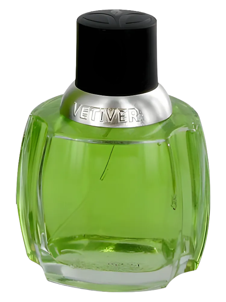 Vetiver by Dana