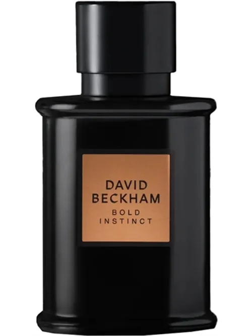 Bold Instinct by David Beckham