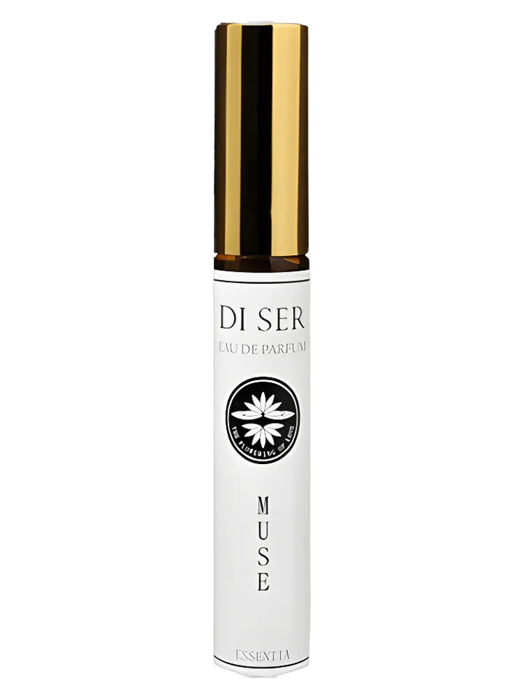 Muse by Di Ser / ディセル