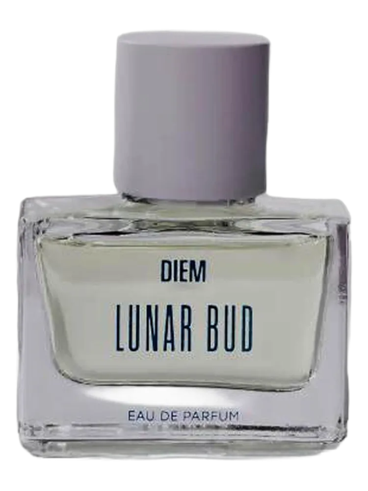 Lunar Bud by DIEM