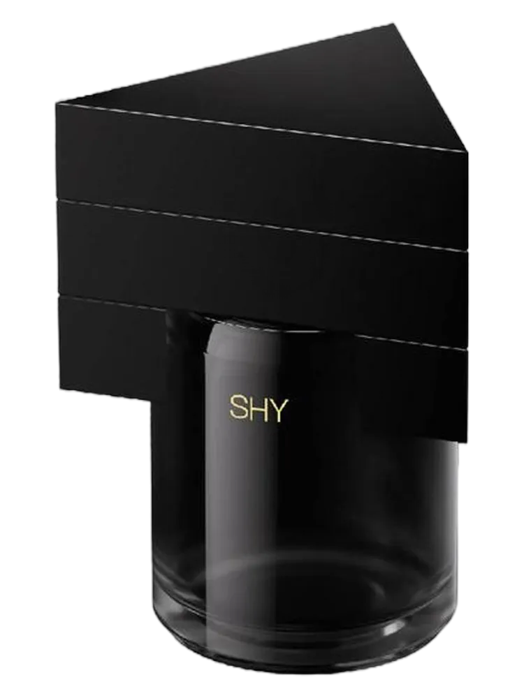 Shy by Documents