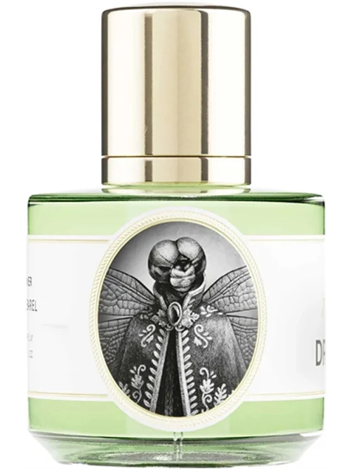 Dragonfly by Zoologist