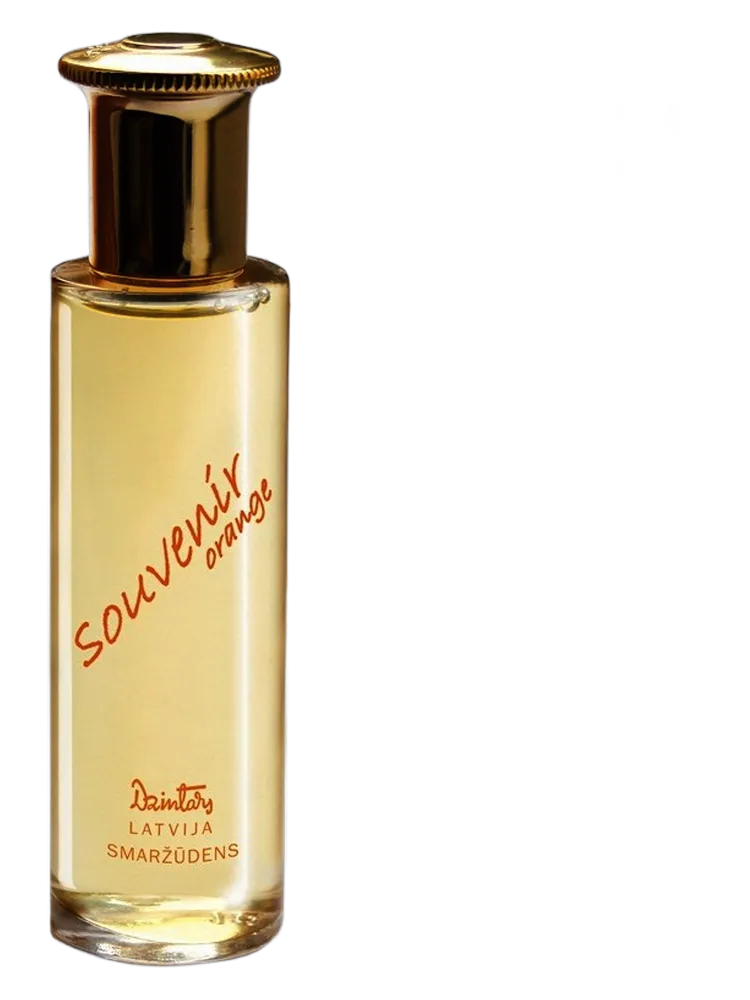 Souvenir Orange by Dzintars