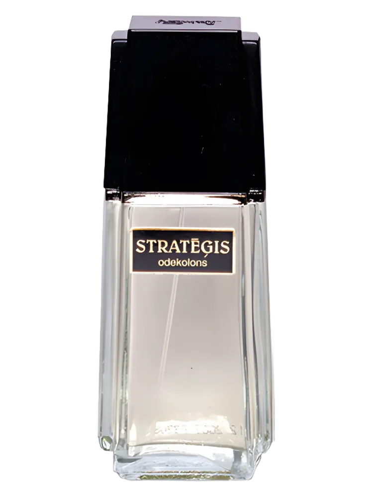 Strategis by Dzintars