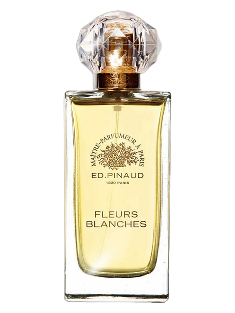 Fleurs Blanches by Ed Pinaud