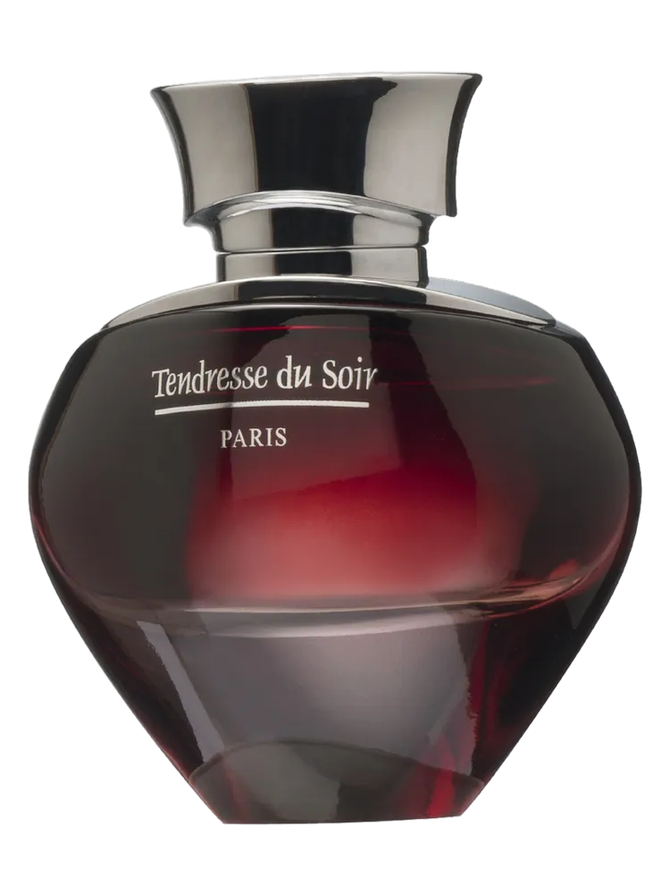 Tendresse Du Soir by Elysees Fashion