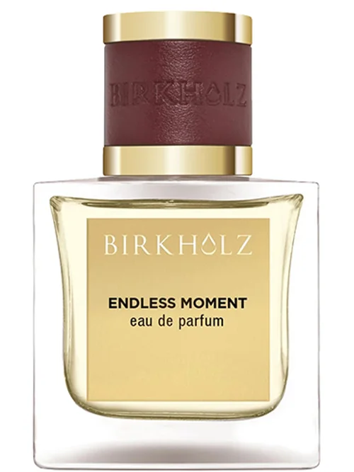Endless Moment by Birkholz