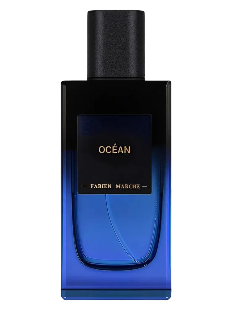 Ocean by Fabien Marche