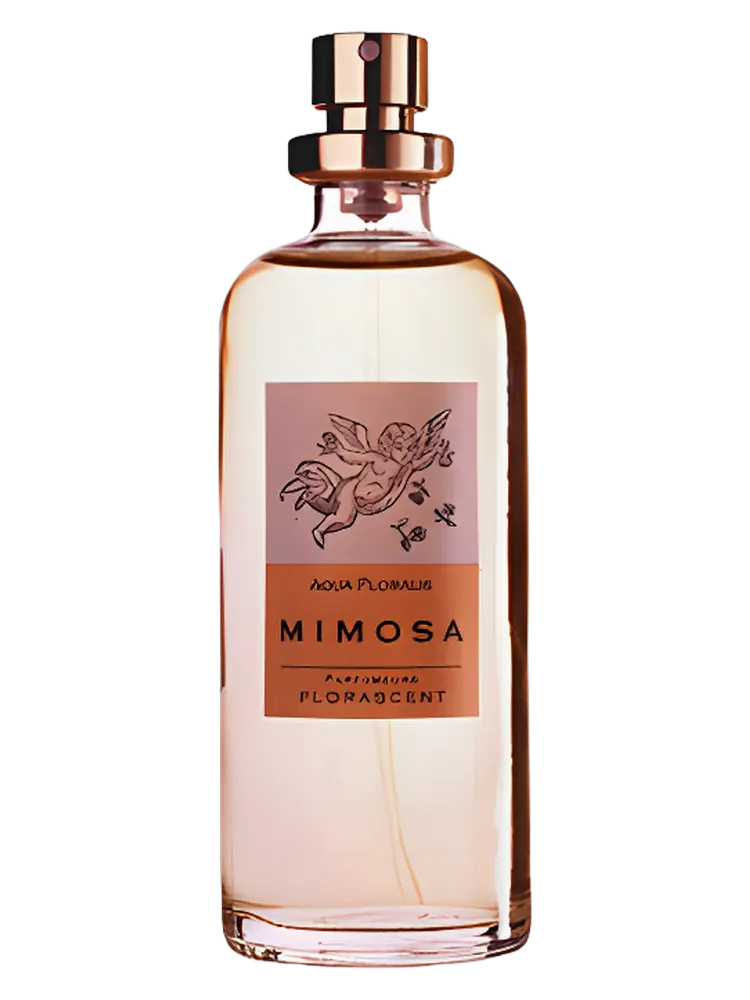 Mimosa by Florascent