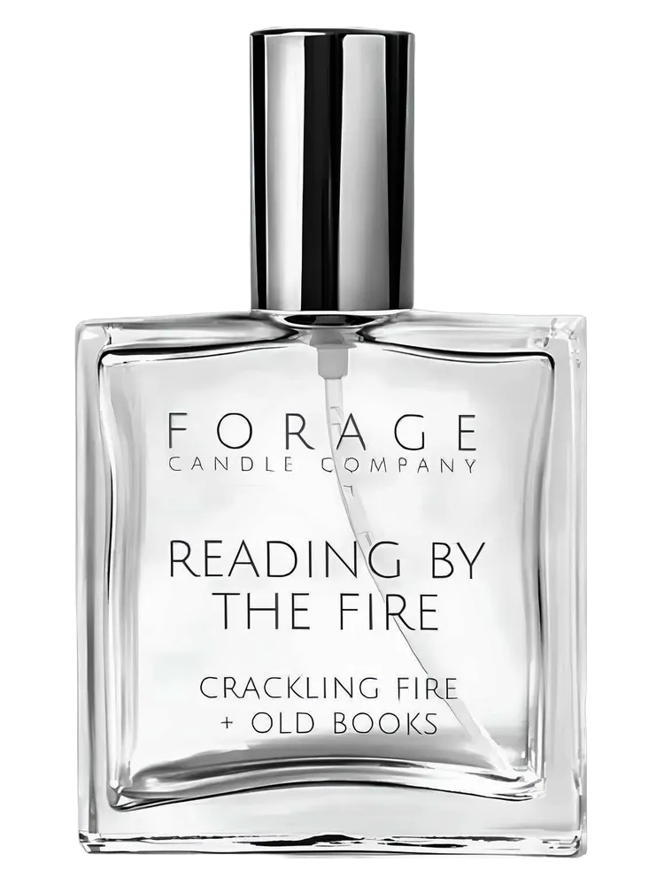 Reading by the Fire by Forage