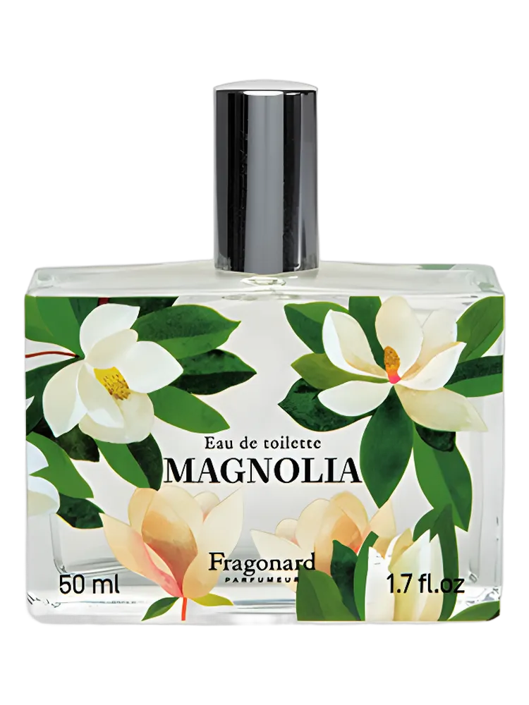 Magnolia by Fragonard