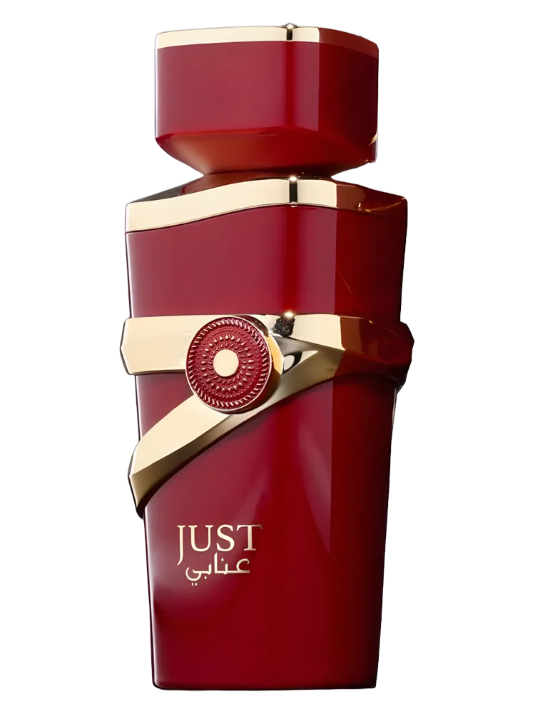 Just Anabi by Fragrance World