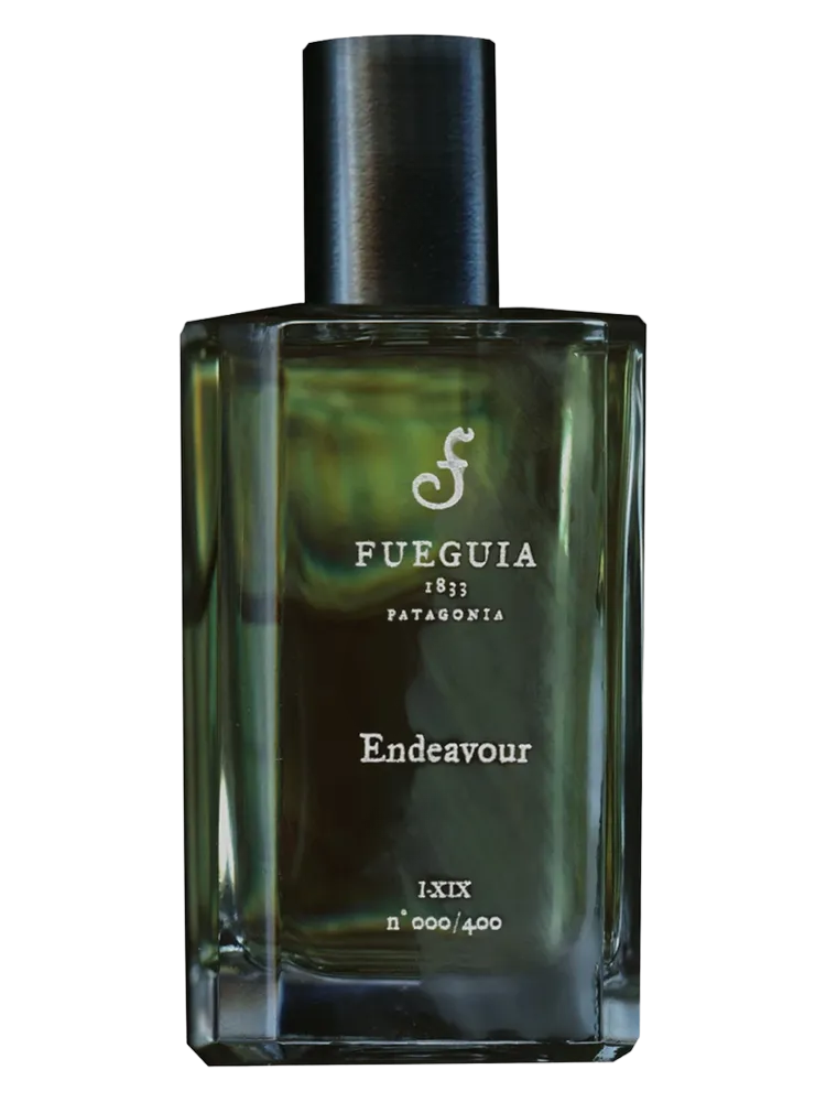 Endeavour by Fueguia 1833