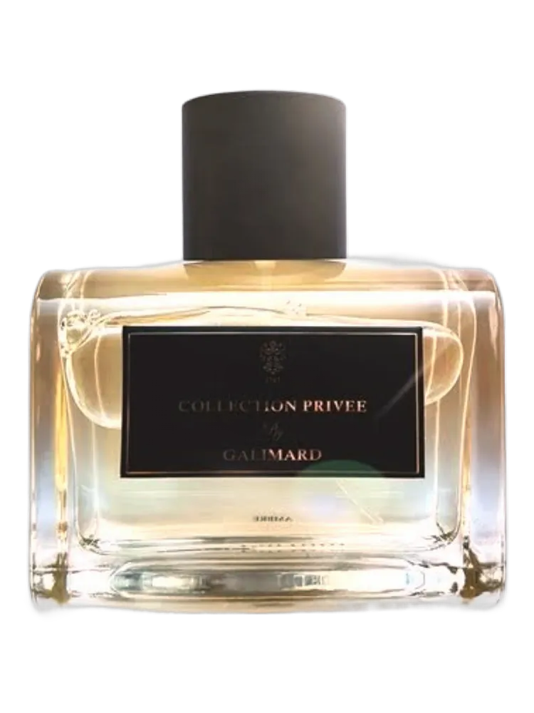 Ambre by Galimard