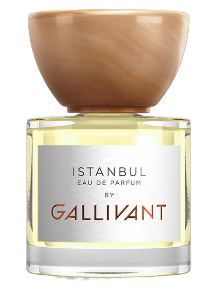 Istanbul by Gallivant