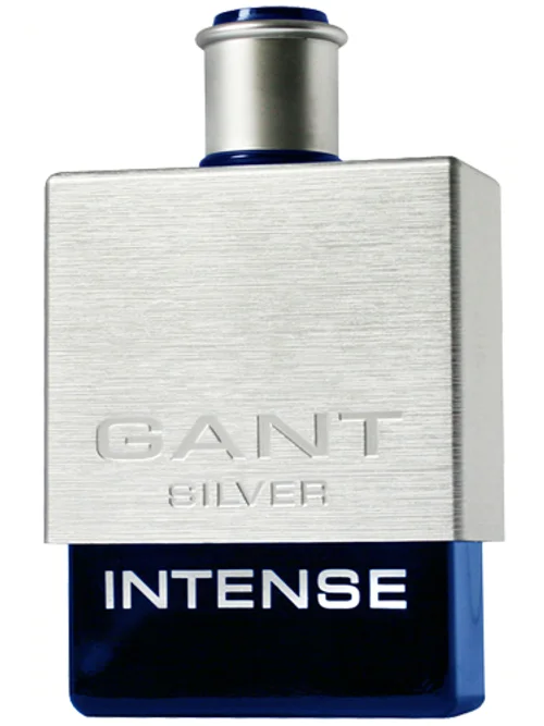 Silver Intense by Gant