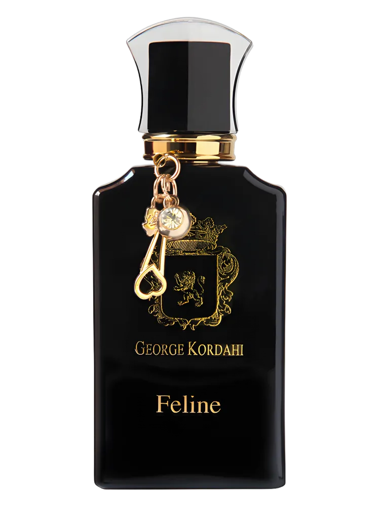 Feline by George Kordahi