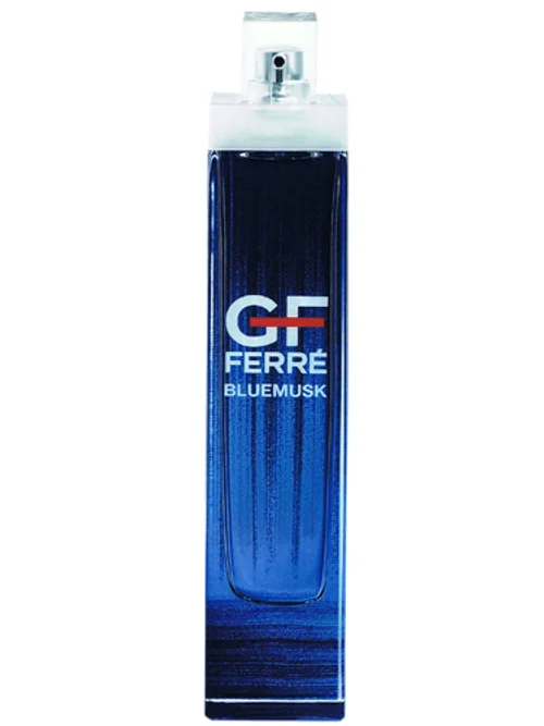 Gf Ferré Blue Musk by Gianfranco Ferré