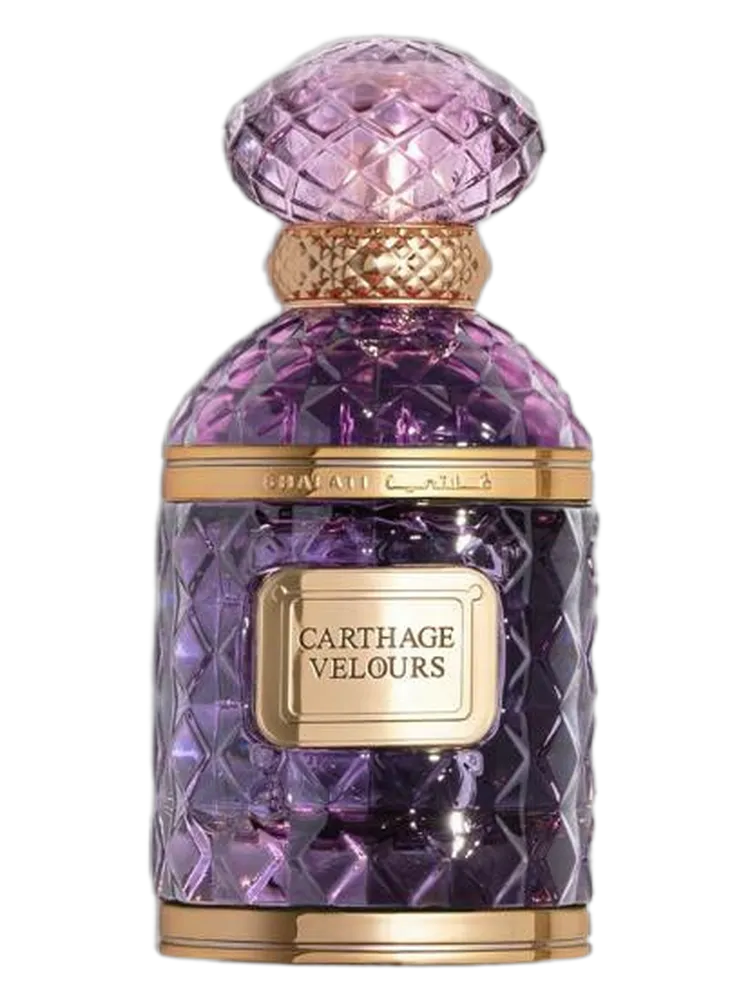 Carthage Velours by Ghalati