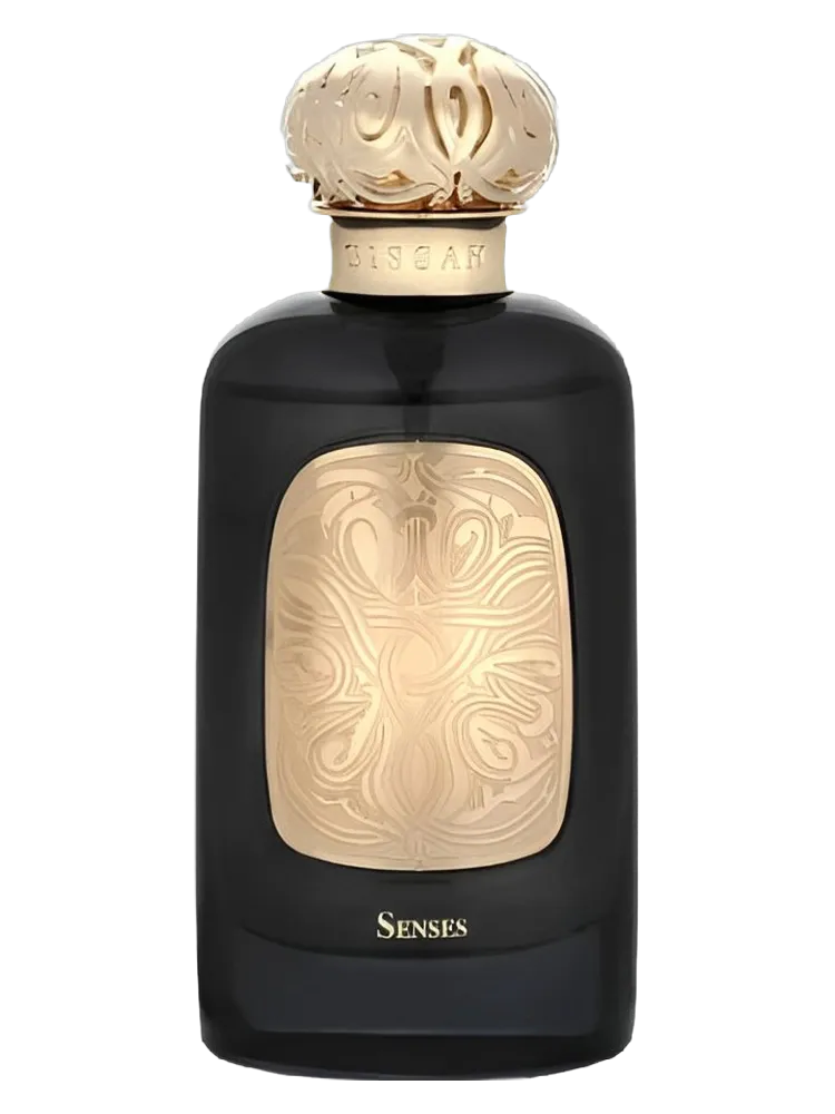 Senses by Gissah / قصة
