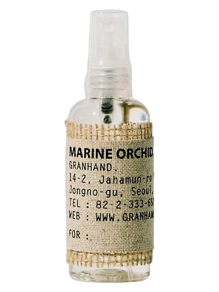 Marine Orchid by GRANHAND
