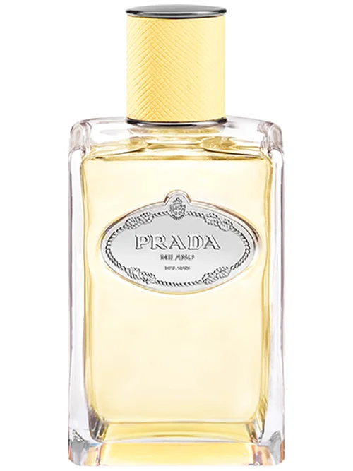 Infusion De Mimosa by Prada