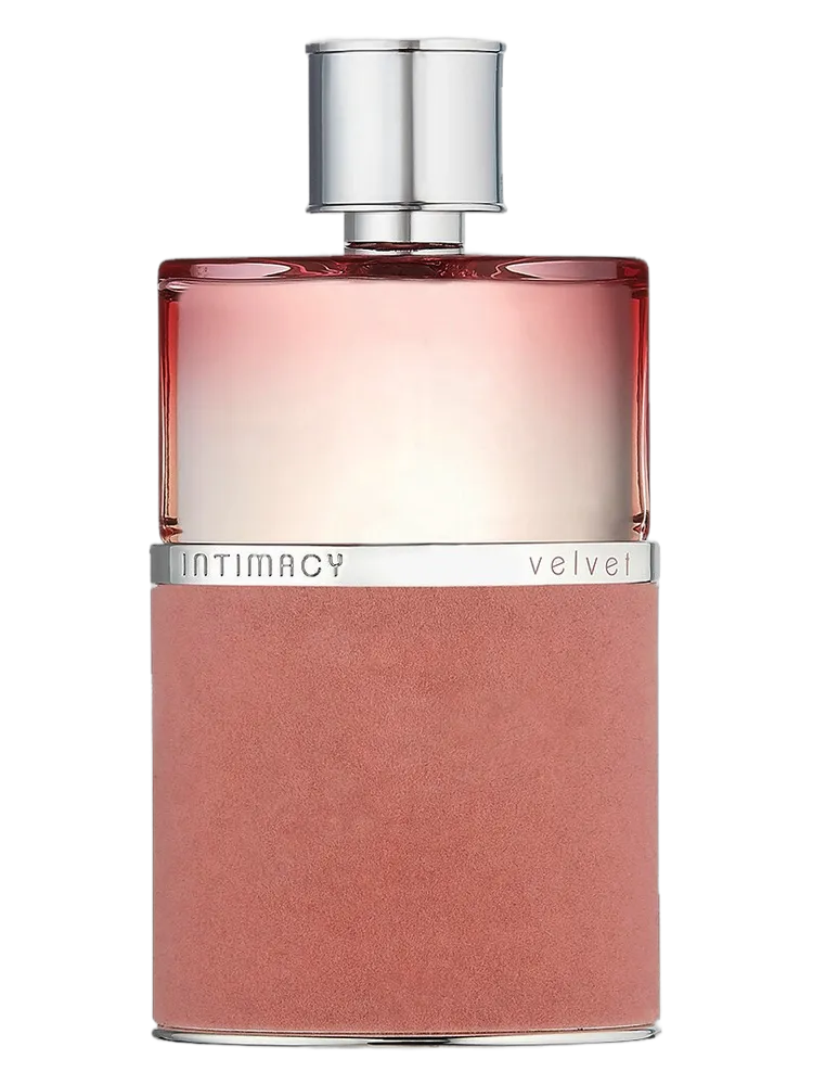 Intimacy Velvet by Intimacy