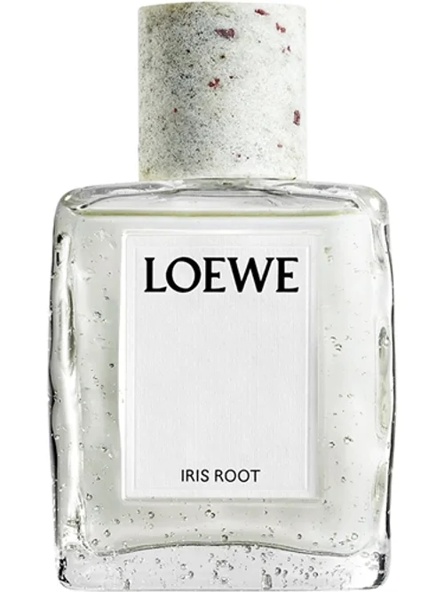 Iris Root by Loewe