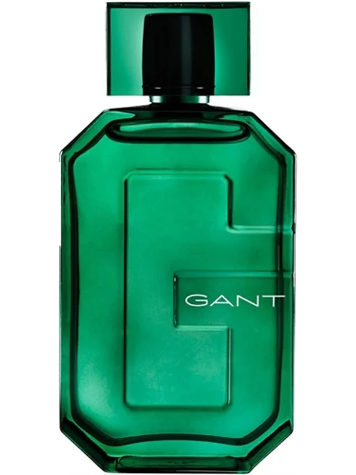 Ivy by Gant