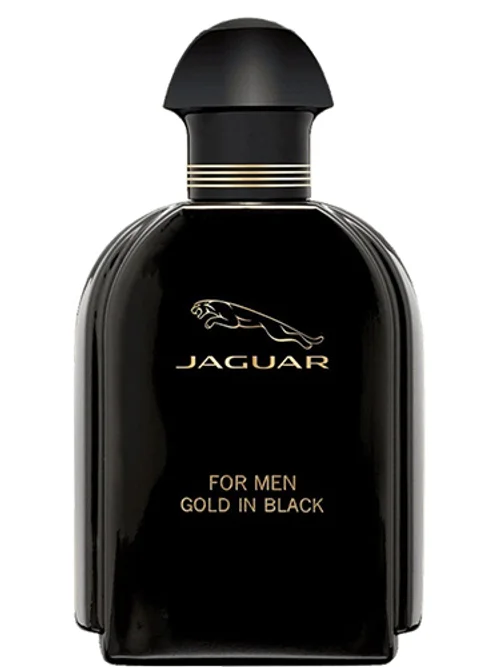 Gold In Black For Men by Jaguar