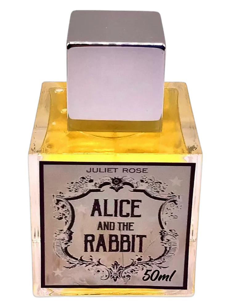 Alice & The Rabbit by Juliet Rose