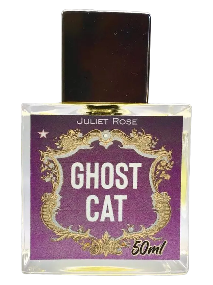 Ghost Cat by Juliet Rose