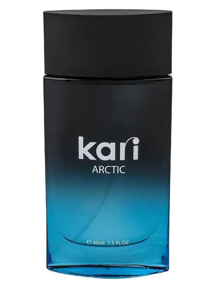 Arctic by kari