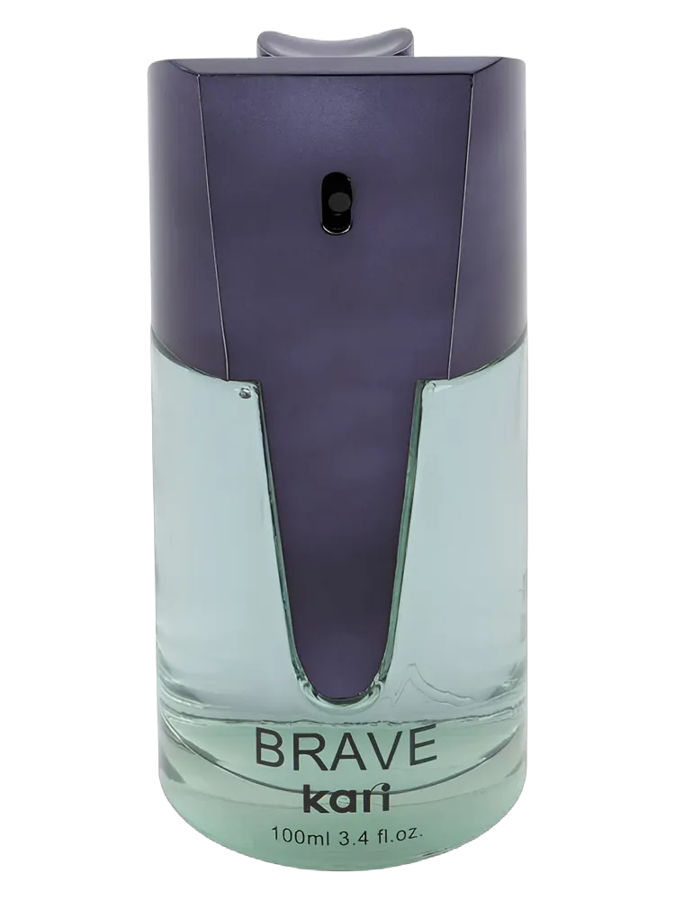Brave by kari