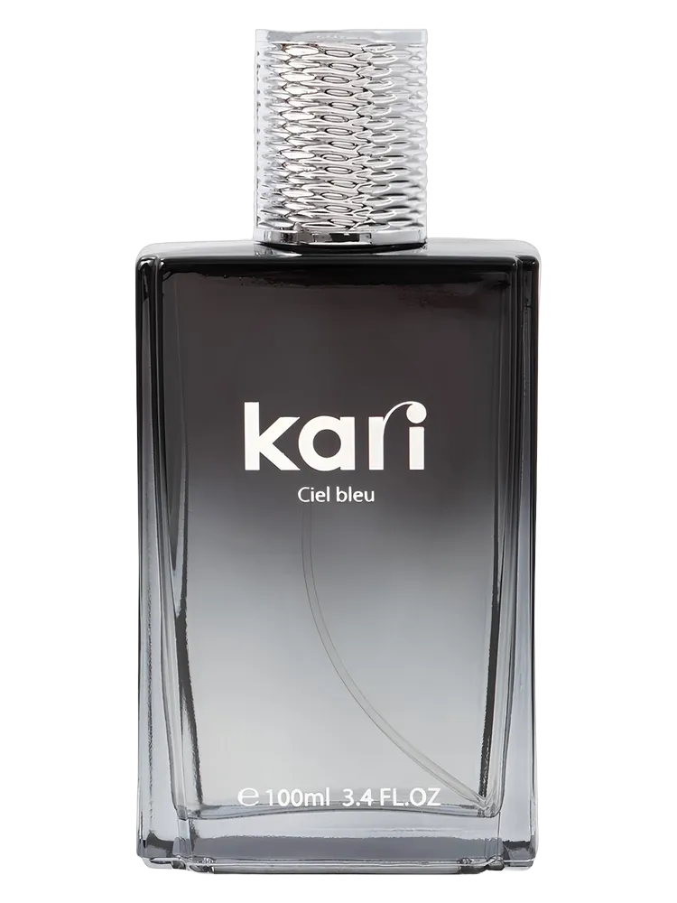 Ciel Bleu by kari