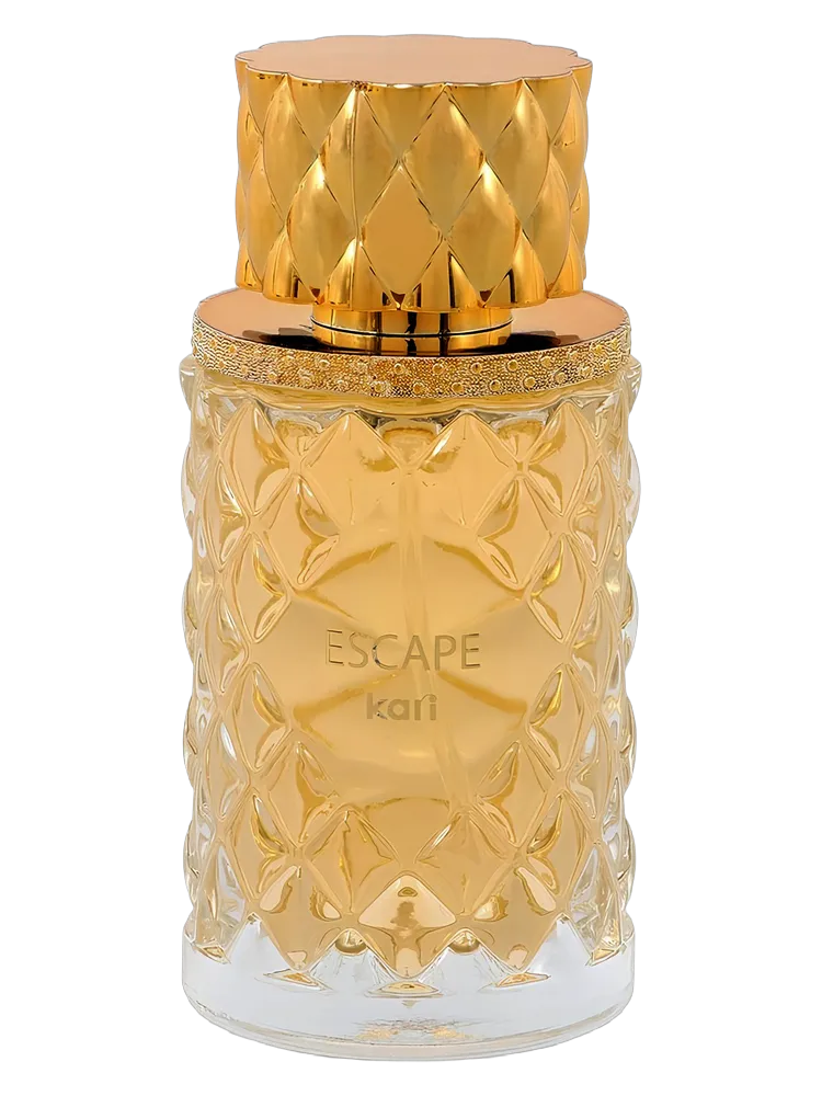 Escape by kari