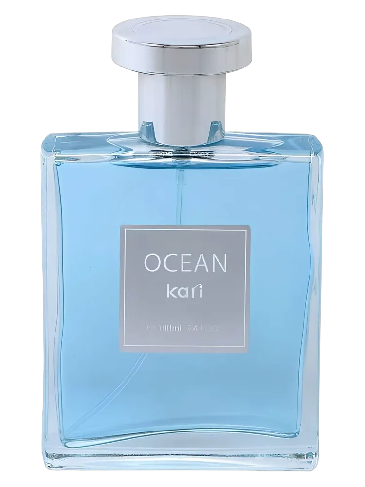 Ocean by kari