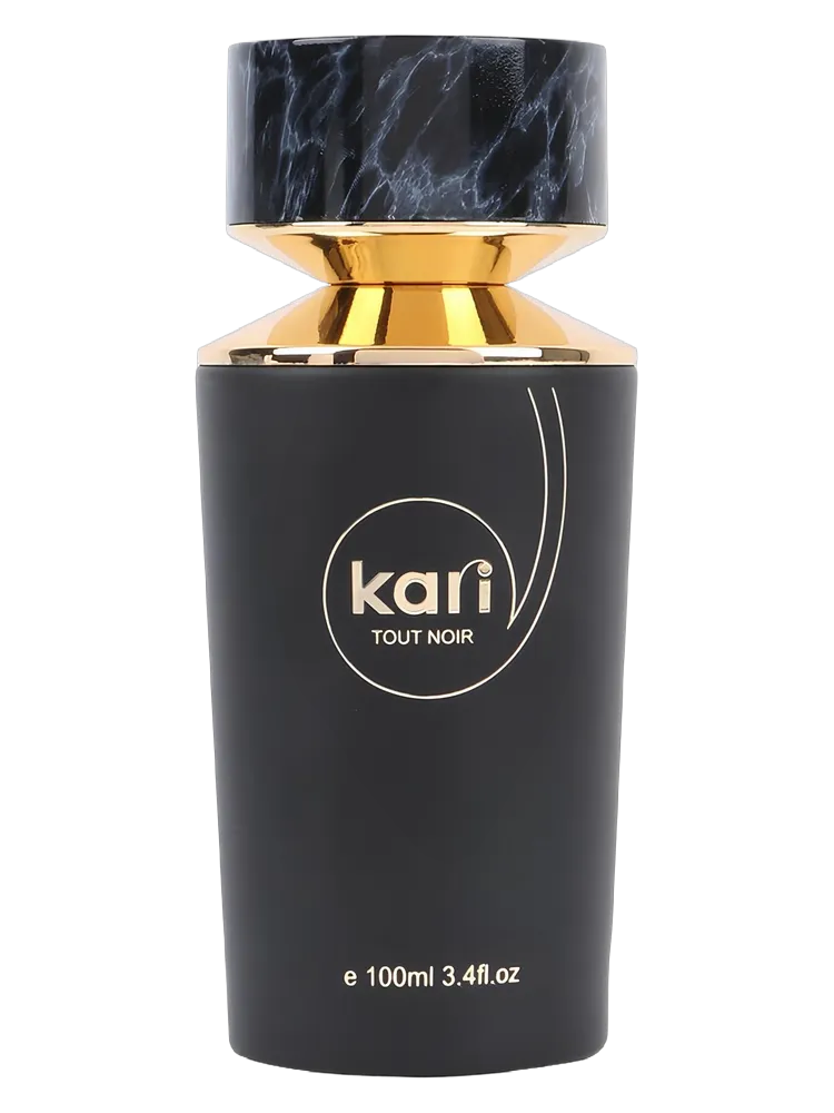 TOUT NOIR by kari