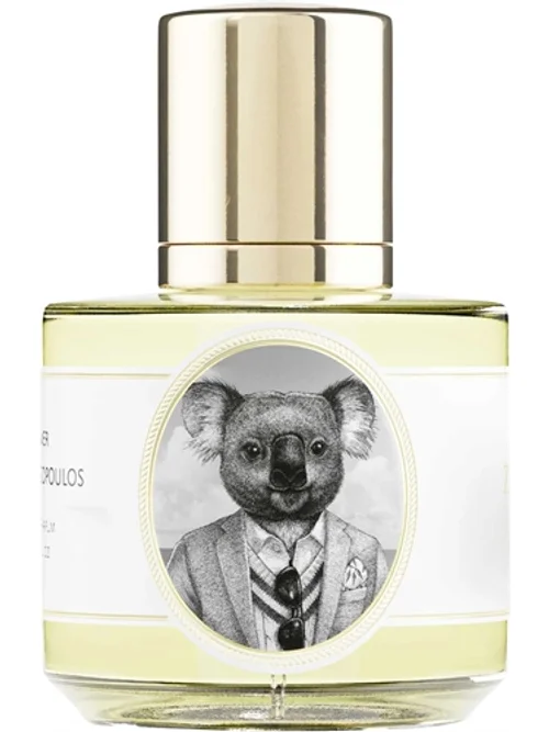 Koala by Zoologist