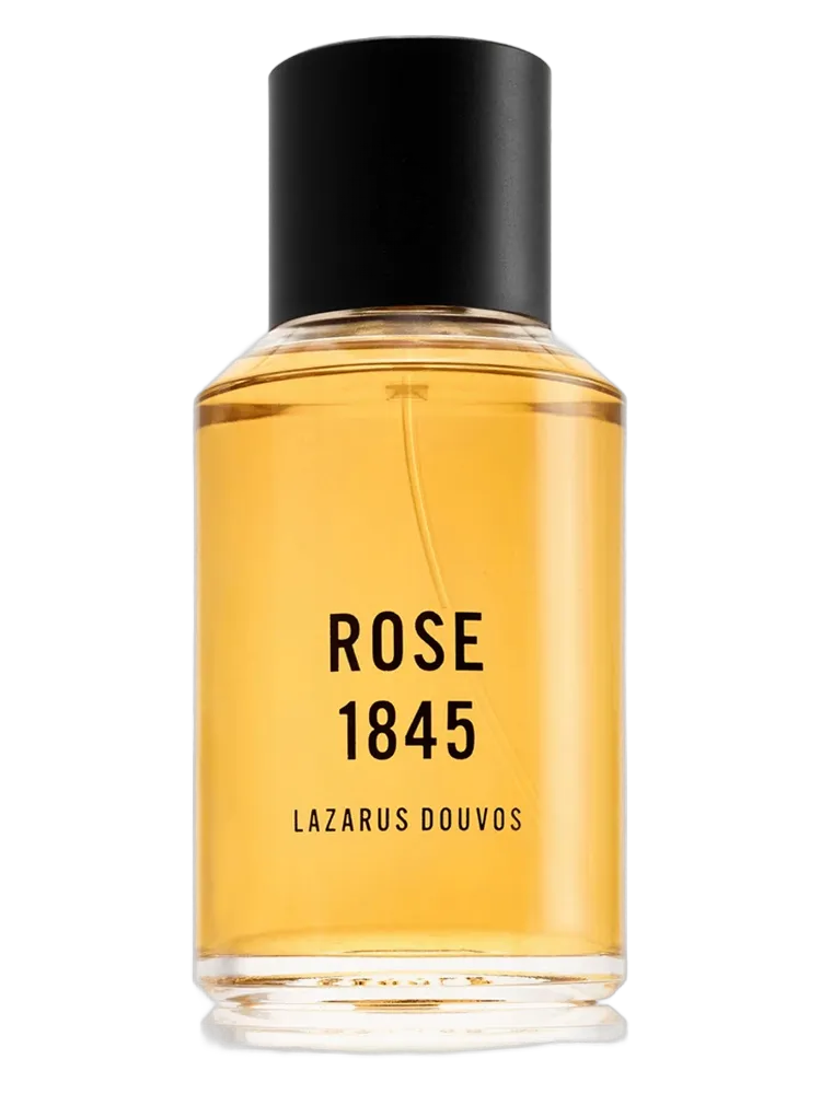Rose 1845 by Lazarus Douvos