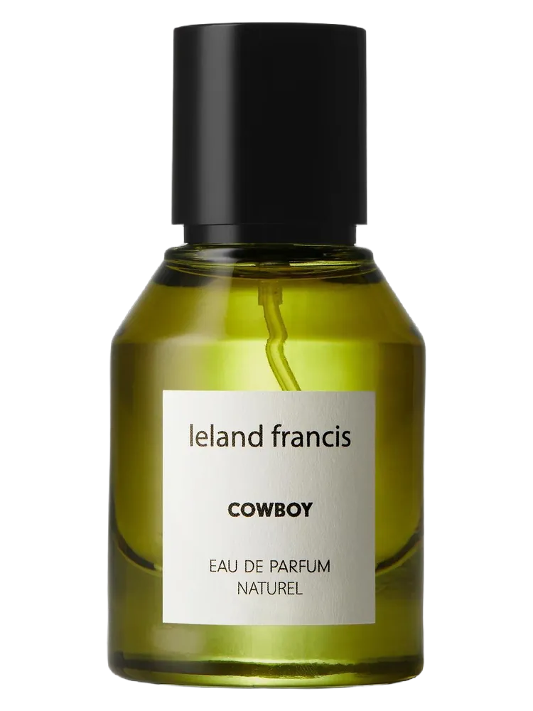 Cowboy by Leland Francis