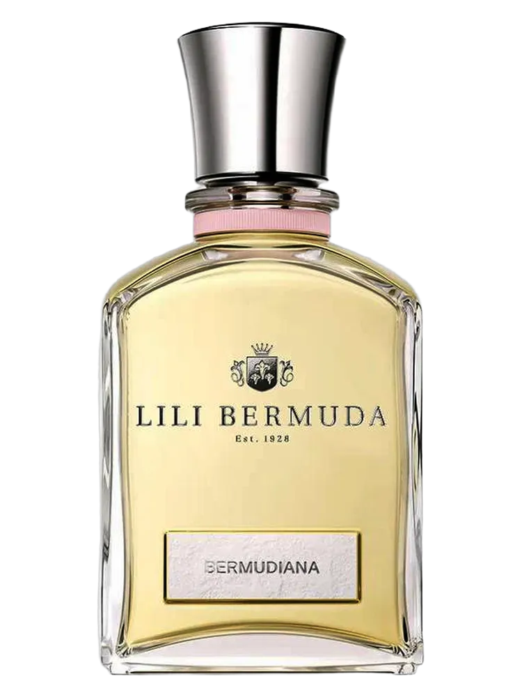 Bermudiana by Lili Bermuda