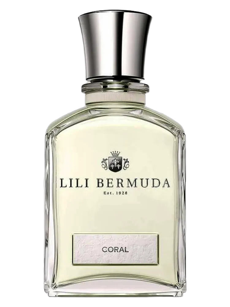 Coral by Lili Bermuda