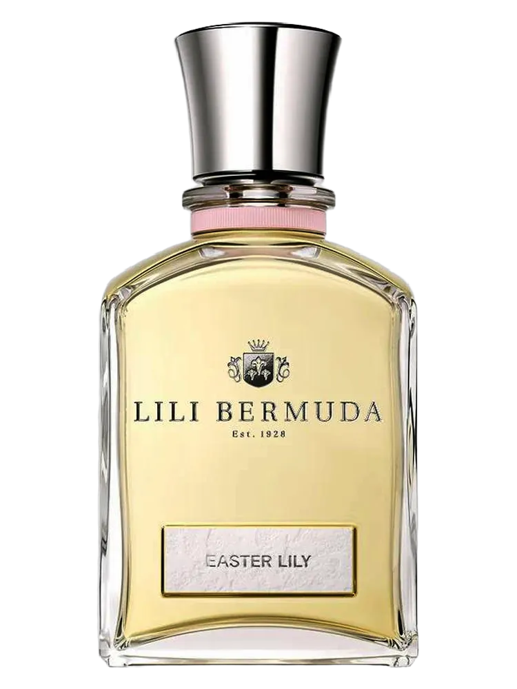Easter Lily by Lili Bermuda