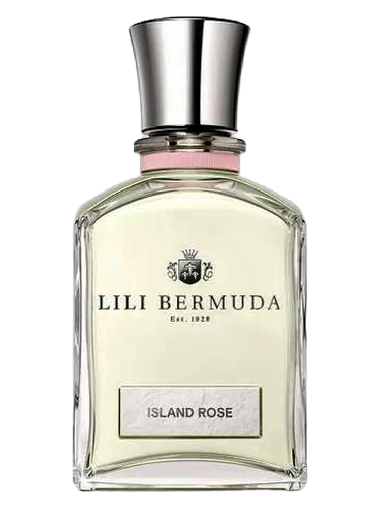 Island Rose by Lili Bermuda