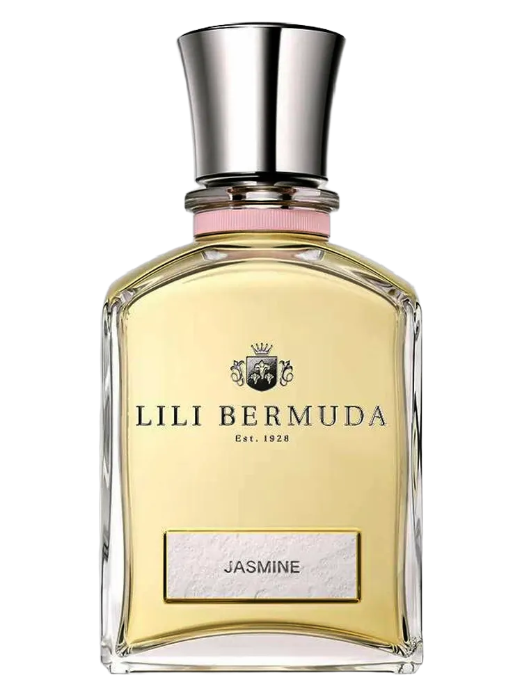 Jasmine by Lili Bermuda
