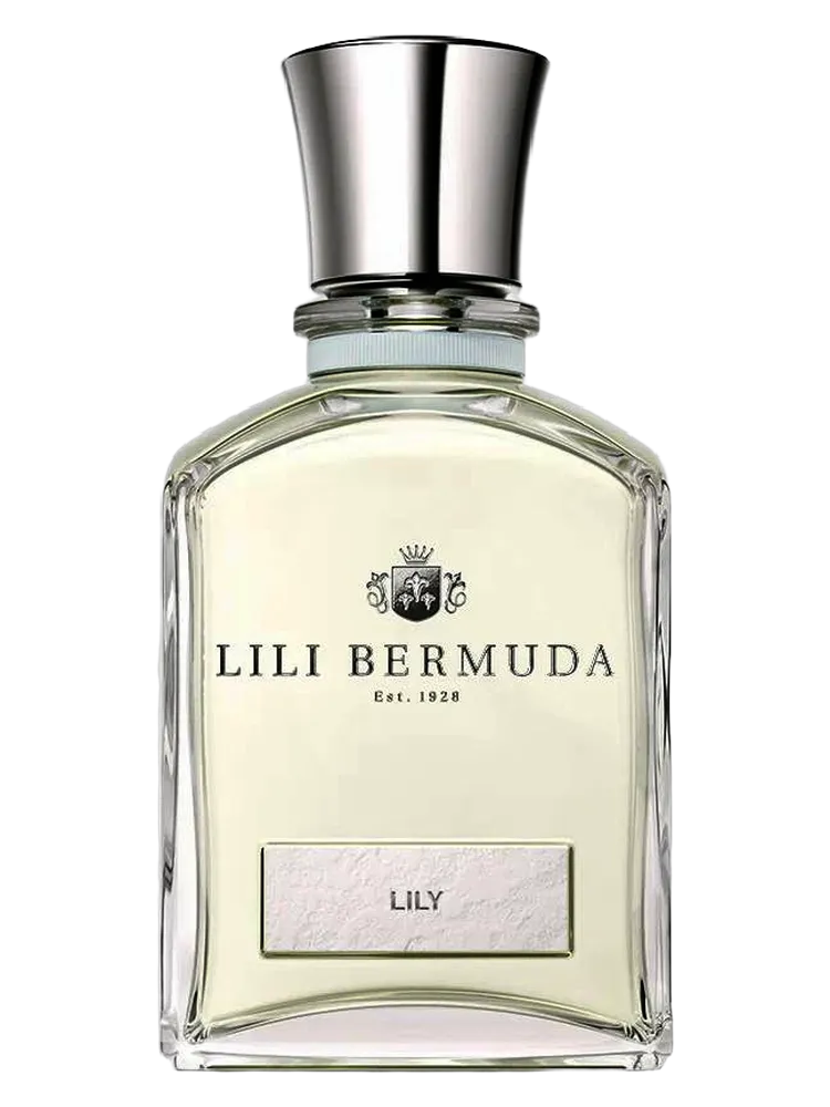 Lily by Lili Bermuda