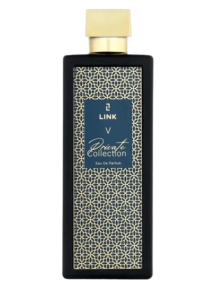 V by LINK