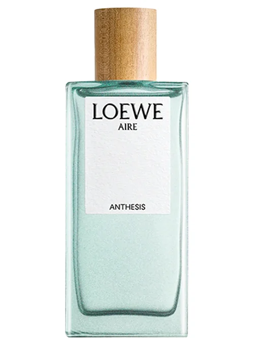 Aire Anthesis by Loewe